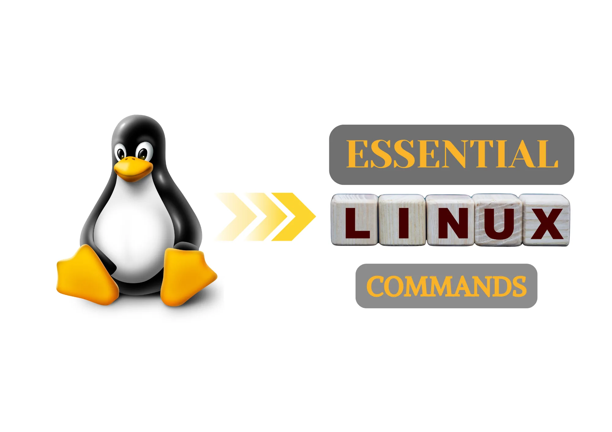 Mastering Linux: Essential Commands Every Novice Should Know 🐧